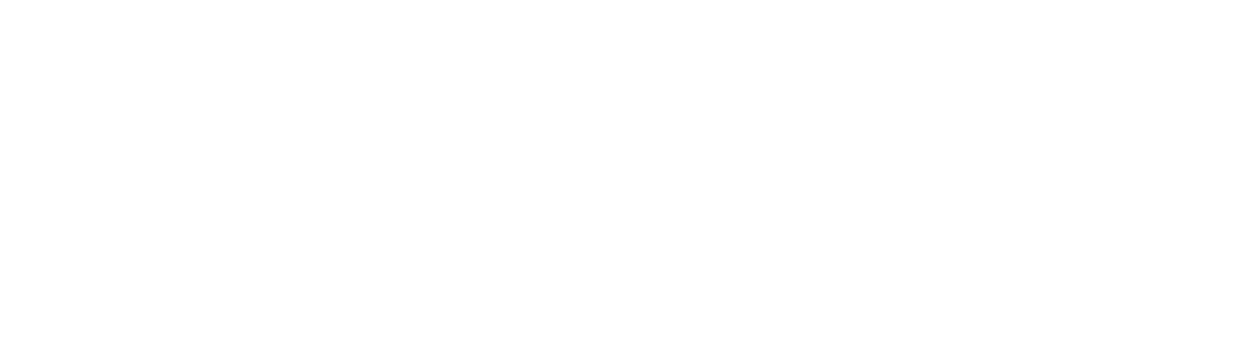 SiliX Logo